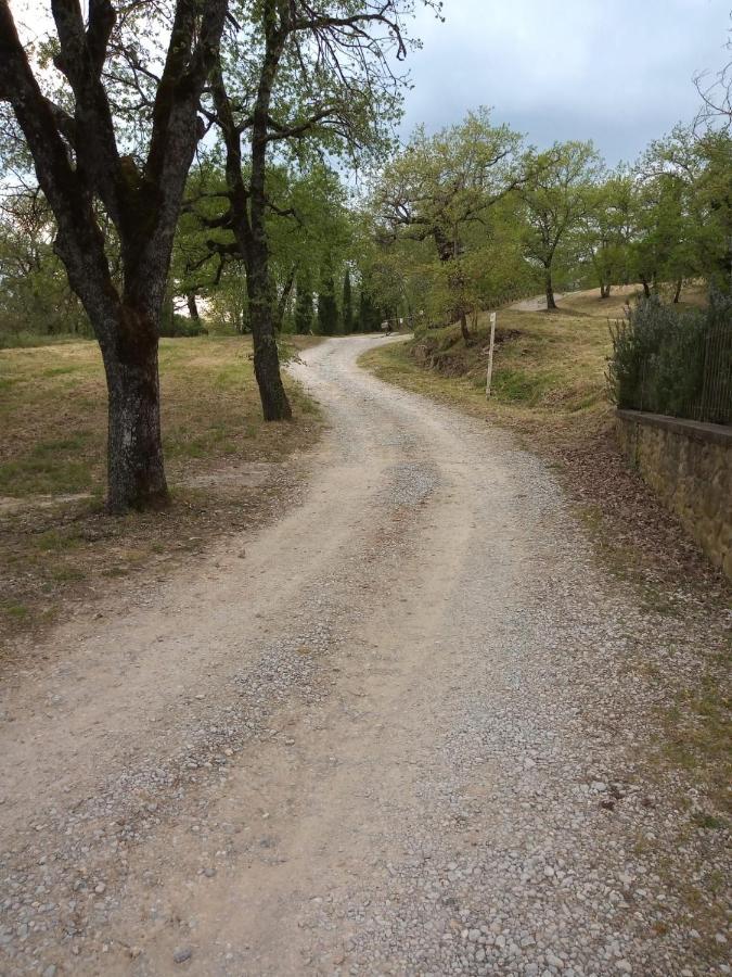 Agriturismo L'Incrociata Bucine المظهر الخارجي الصورة
